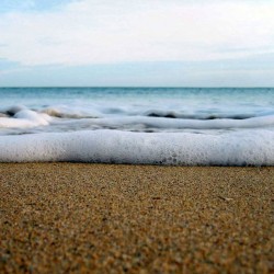O Mar Enrola na Areia - PDF