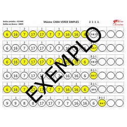 Parabéns - PDF